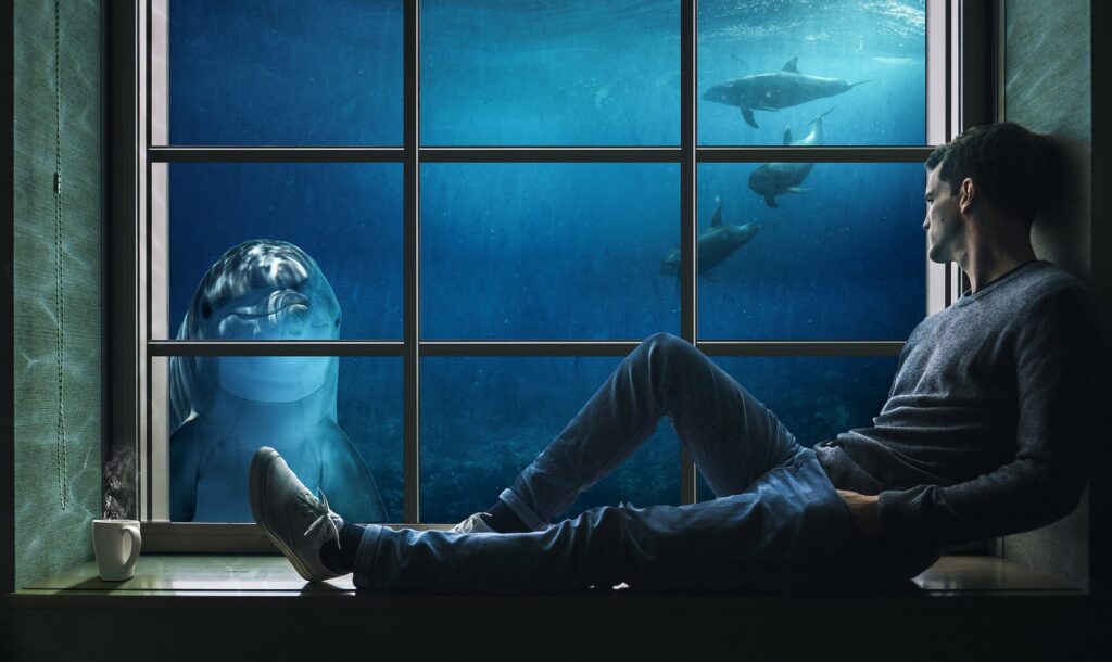Young man on window sill peering into water with a dolphin looking at him