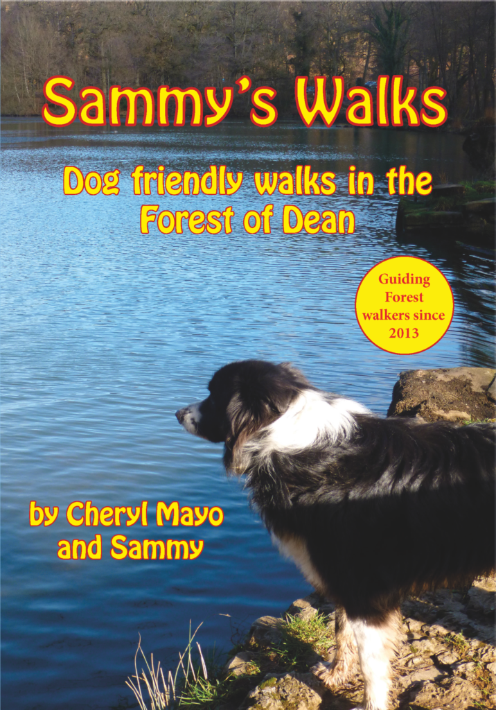 Cover of Sammy's Walks: Dog Friendly walks in the Forest of Dean with a border collie standing by a lake